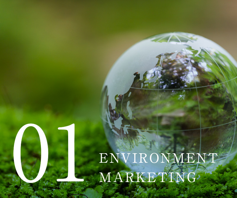 ENVIRONMENT MARKETING