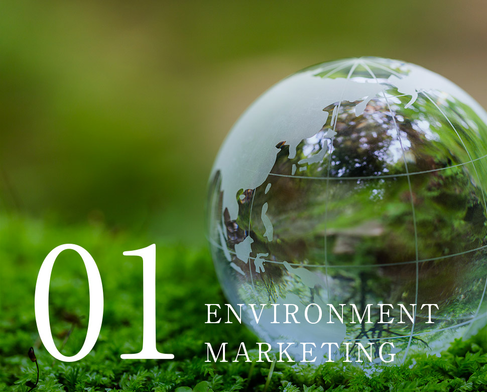 ENVIRONMENT MARKETING